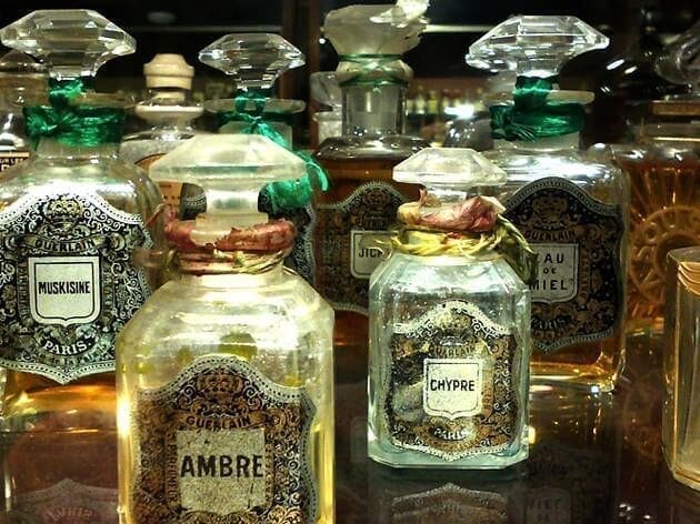 Several ornate vintage perfume bottles with detailed labels and decorative lids are displayed together, featuring names like "Ambre," "Chypre," and "Muskisine"—a glimpse into the treasures of a Museum of Perfume collection.