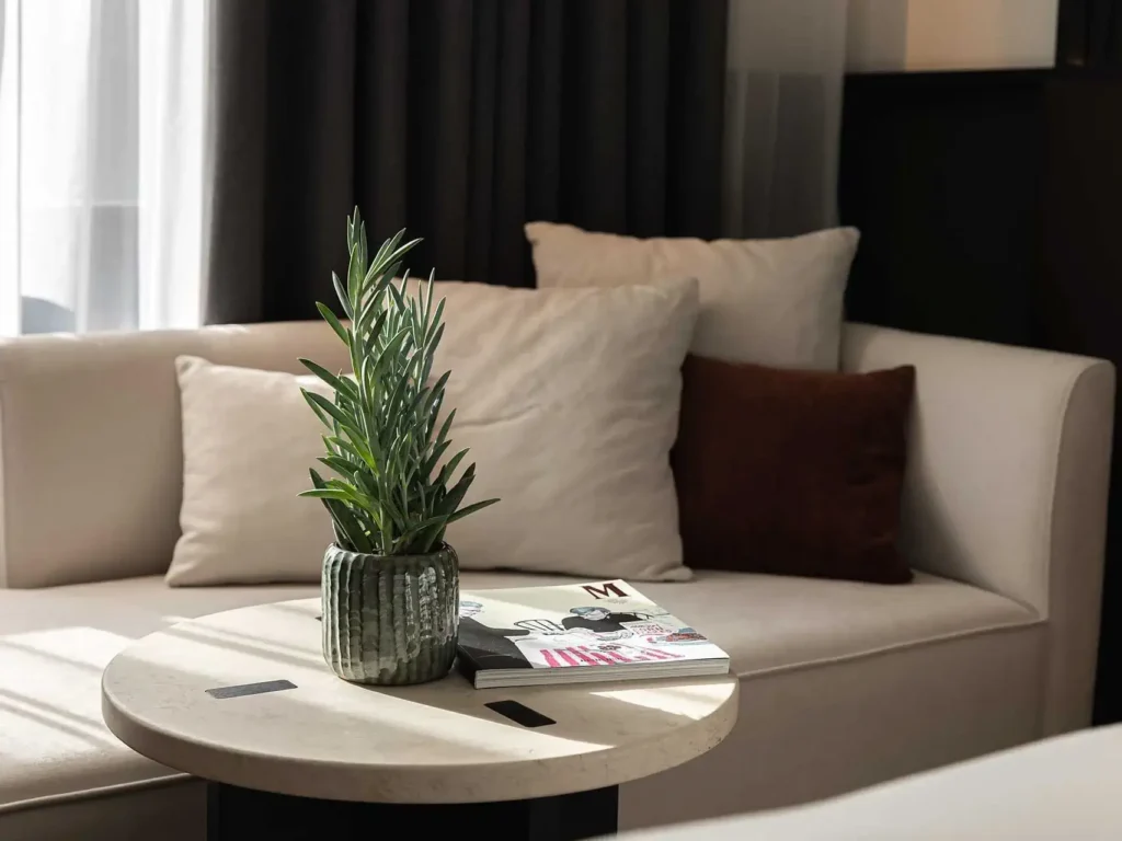 A small plant in a textured pot sits on a round table next to two magazines, in front of a beige sofa with white and brown cushions.