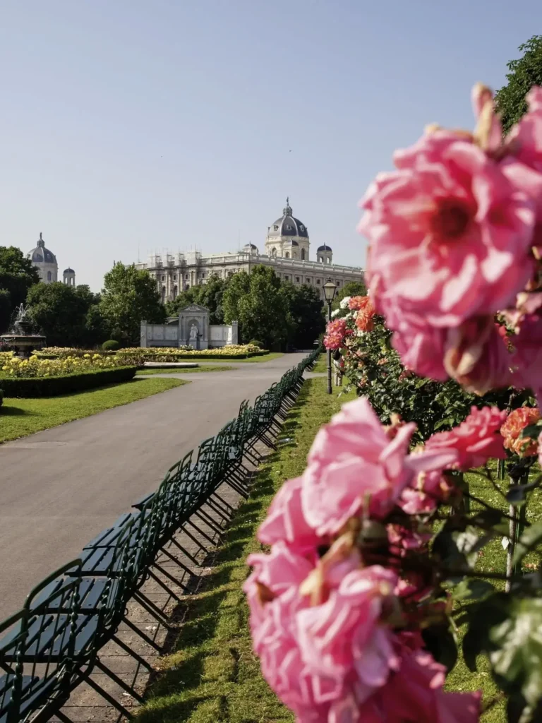 Pink flowers in the foreground bring Summer Elegance to a path lined with green chairs, leading to a historic building under a clear sky.