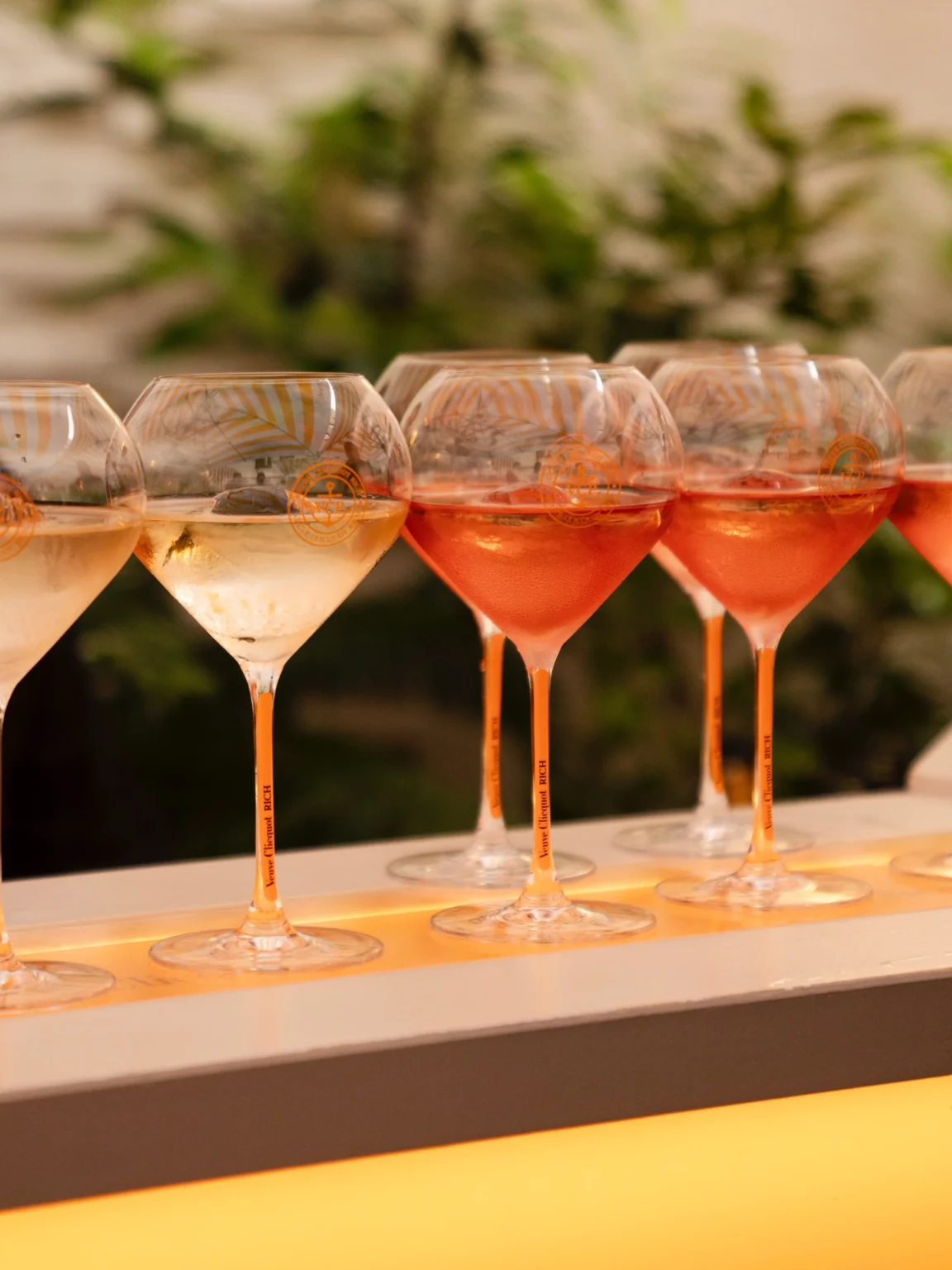 A row of wine glasses filled with white and rosé wine is arranged on a lit surface at Almanac Alcron Prague, with green foliage blurred in the background.
