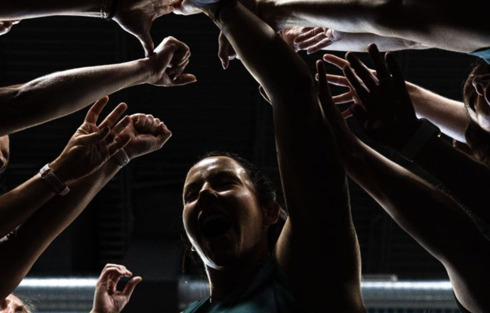 Almanac palais vienna - training