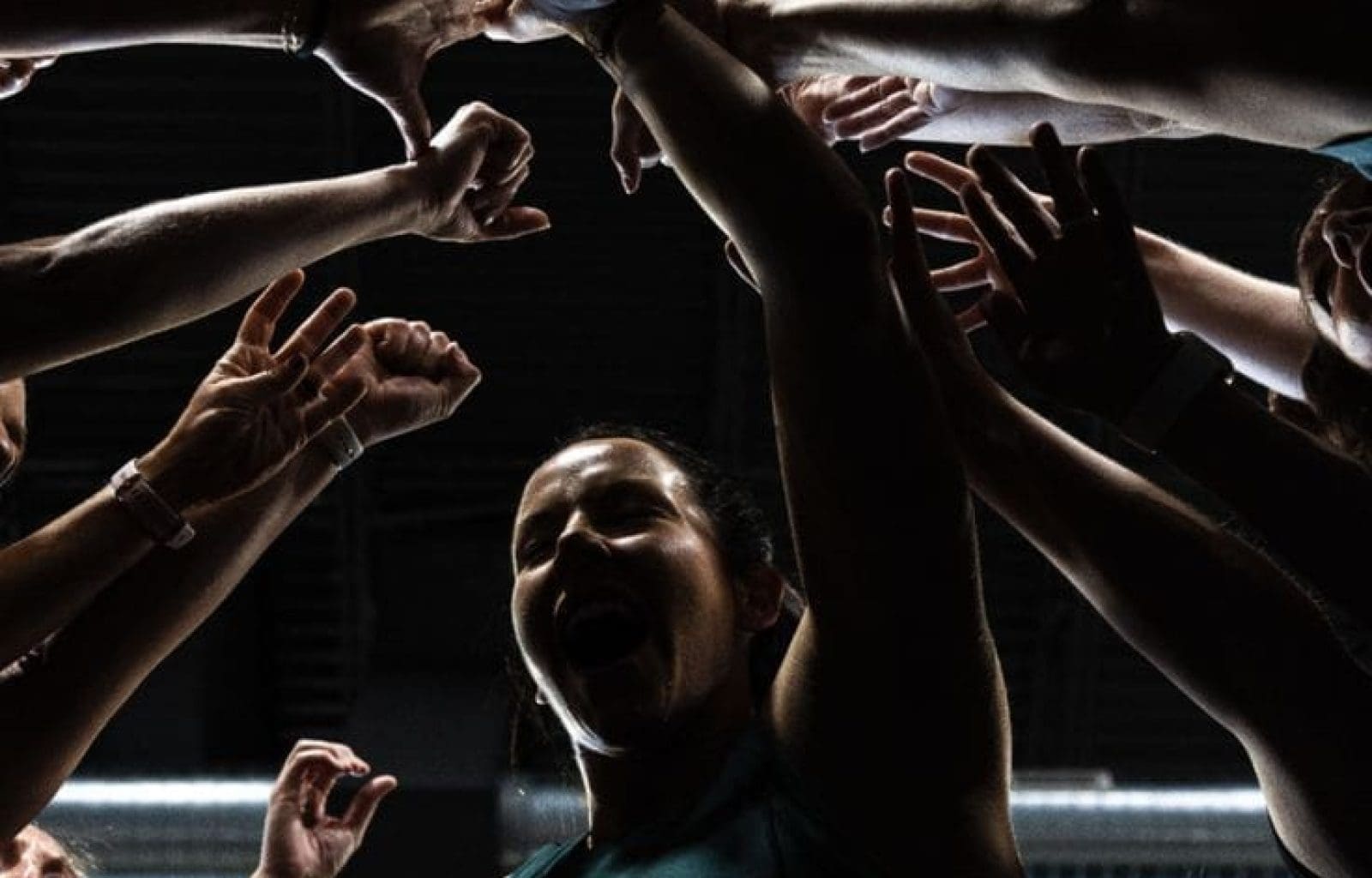 Almanac palais vienna - training