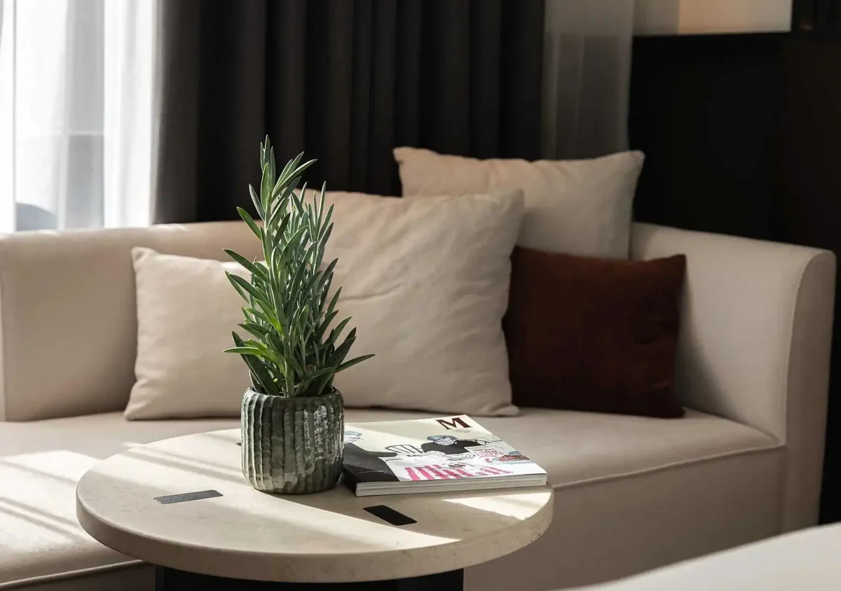 A small plant in a textured pot sits on a round table next to two magazines, in front of a beige sofa with white and brown cushions.