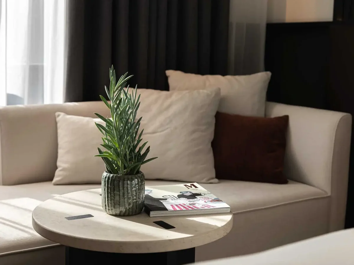 A small plant in a textured pot sits on a round table next to two magazines, in front of a beige sofa with white and brown cushions.