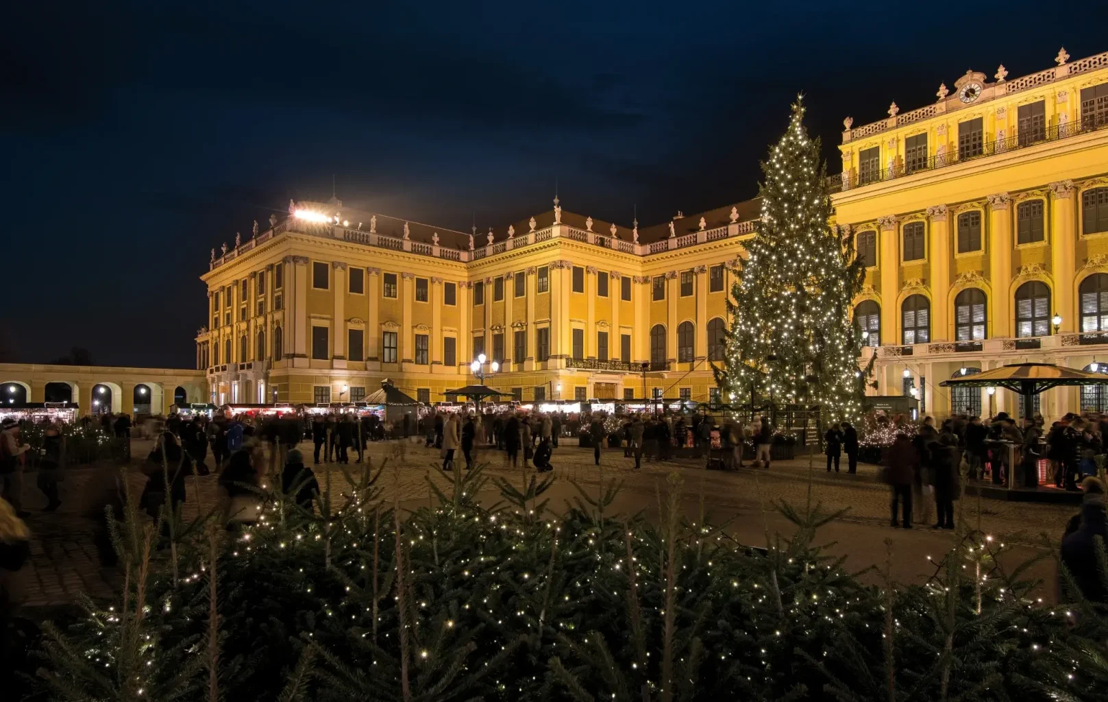 A large Christmas tree with lights stands in front of an illuminated yellow building at night, as crowds gather in the courtyard, capturing the festive spirit of Vienna Christmas Markets.